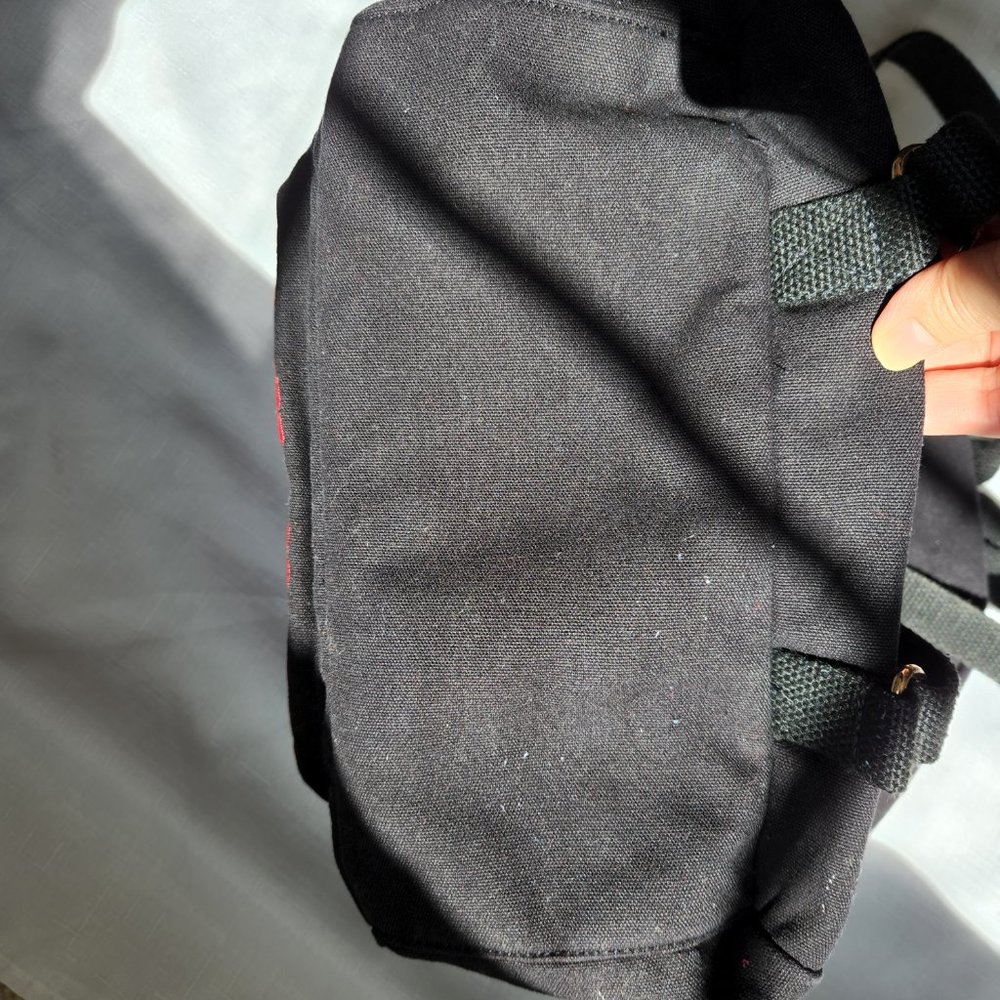 Forever 21 Embroidered Backpack - Picture 9 of 16